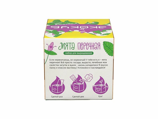 Набор для выращивания Мята
