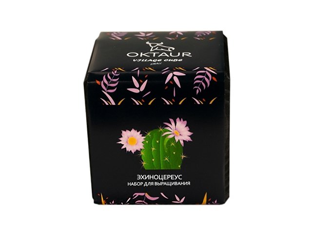 Набор для выращивания Small village cube Мелиса Мохито