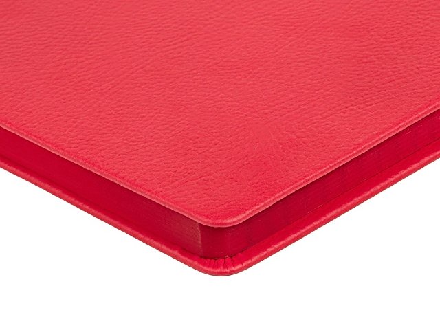 Ежедневник А5 датированный Megapolis Nappa на 2026