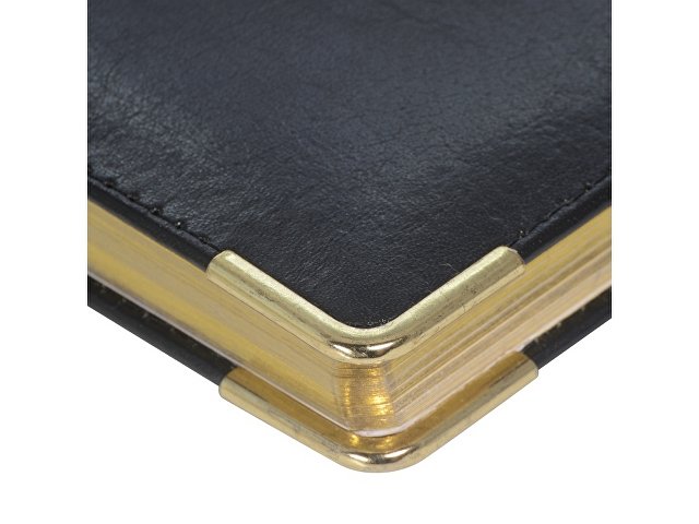 Ежедневник недатированный А5+ Persona