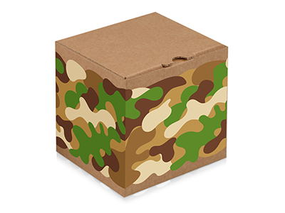 Подарочная коробка Camo