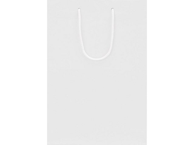 Пакет подарочный Imilit T