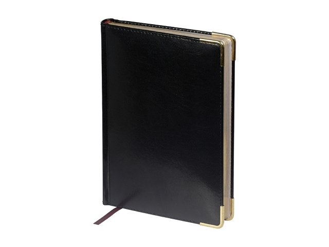 Ежедневник недатированный А5+ Persona