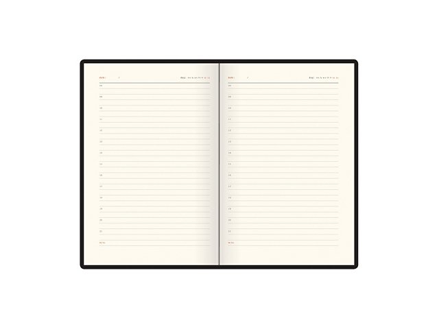 Ежедневник недатированный А5 Boston