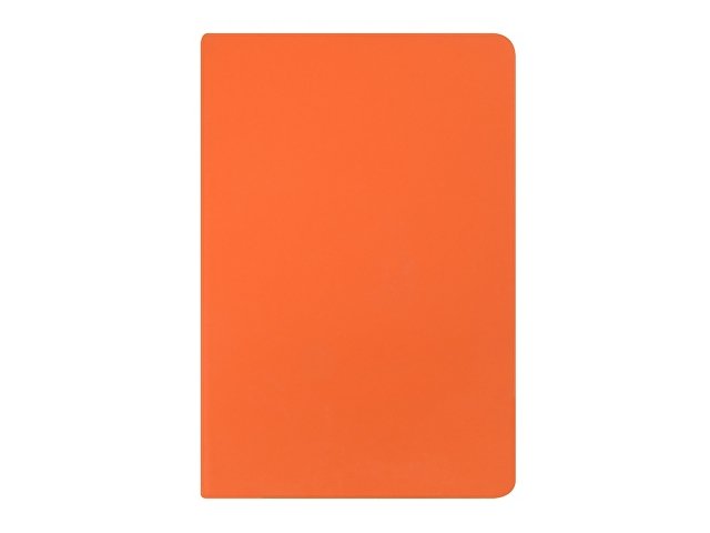 Ежедневник с каменной бумагой недатированный А5 Carrara