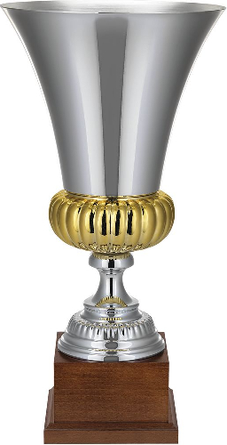 Кубок Erfolg