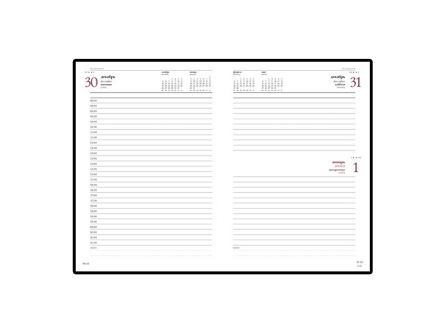 Ежедневник датированный А5 Ideal New на 2025 год