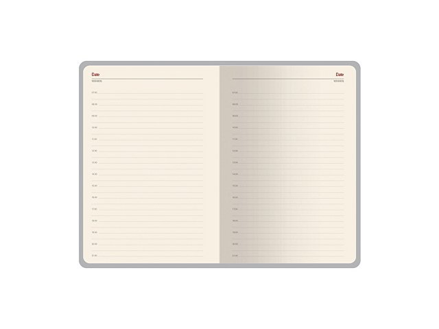 Ежедневник недатированный А5 Lyon