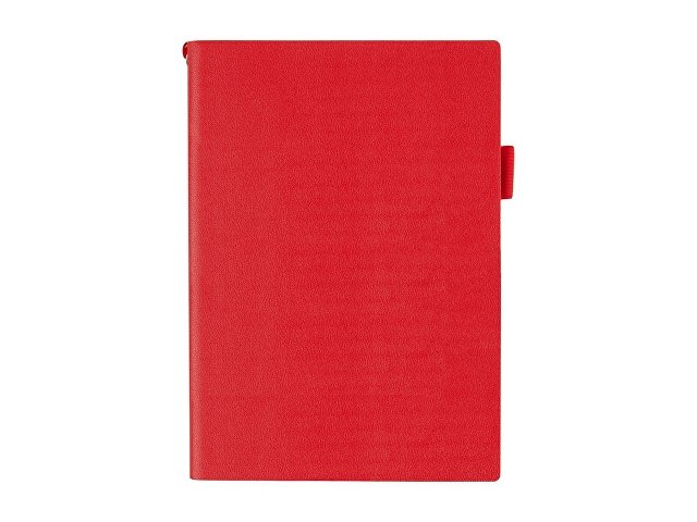 Ежедневник недатированный А5 Grand