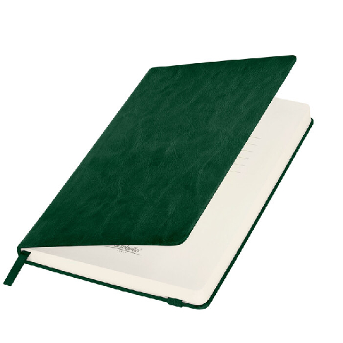 Ежедневник Voyage BtoBook недатированный, зеленый (без упаковки