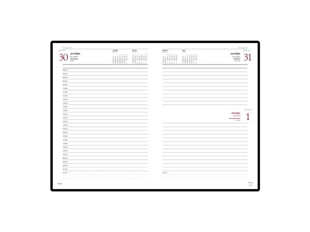 Ежедневник А5 датированный Leader на 2025 год