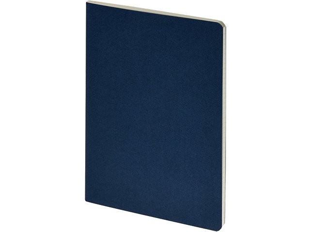 Бизнес-тетрадь А4 Pragmatic