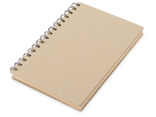 Блокнот А5 на спирали Mania