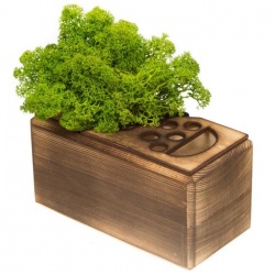 Органайзер GreenOffice