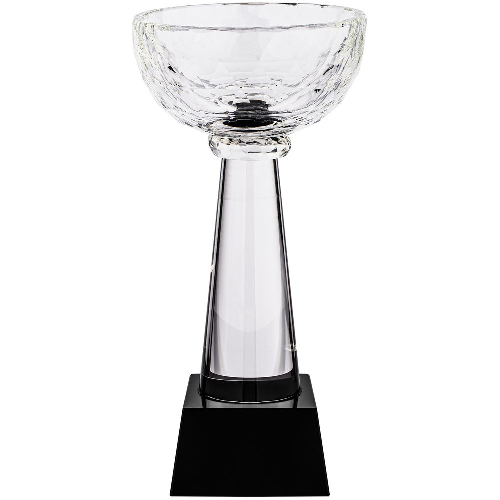 Кубок Cupture