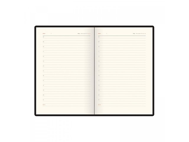 Ежедневник недатированный А5 Boston