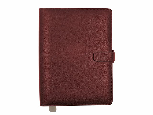 Ежедневник недатированный В5 Toscana