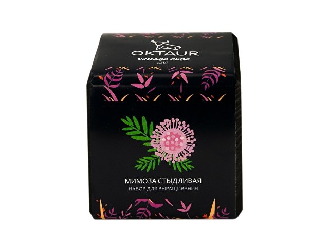 Набор для выращивания Small village cube Мелиса Мохито