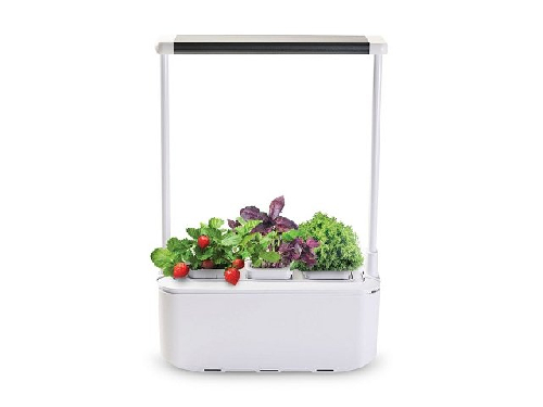 Компактный смарт-сад iGarden PRO с подсветкой