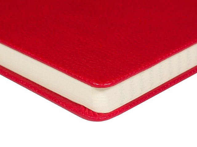 Ежедневник А5 датированный Megapolis Loft на 2026