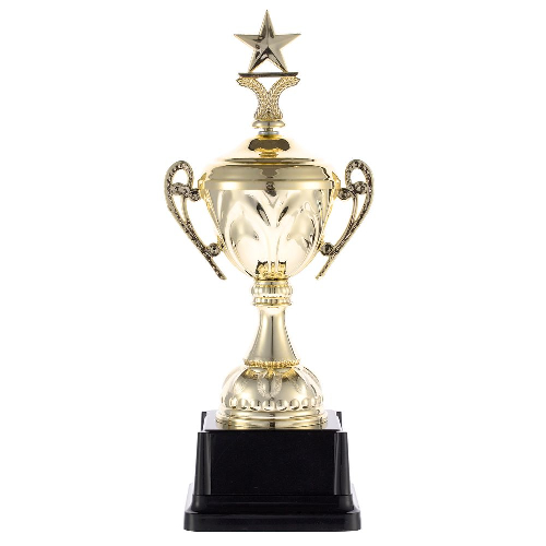 Кубок Top Star