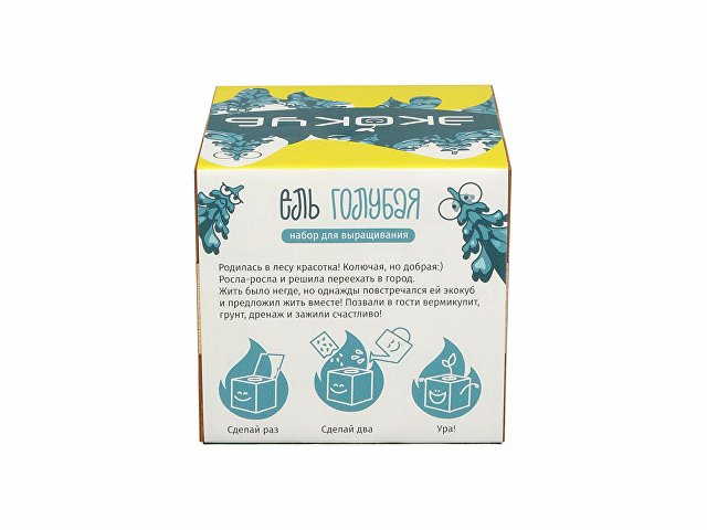 Набор для выращивания Мята