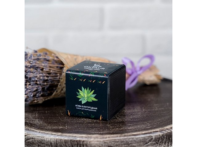 Набор для выращивания Small village cube Мелиса Мохито