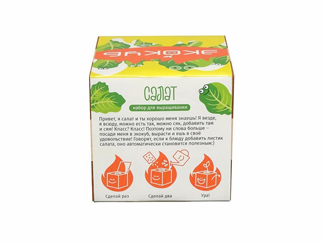 Набор для выращивания Мята
