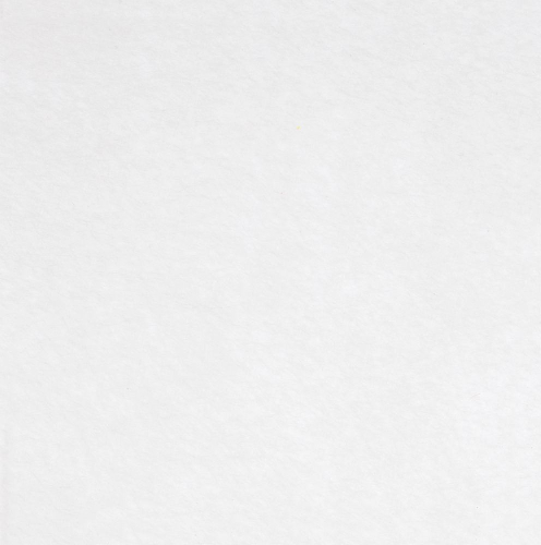 Заготовка из фетра Felt S