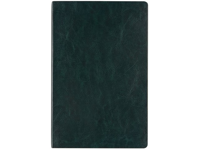 Ежедневник недатированный А5 Megapolis Nebraska Flex