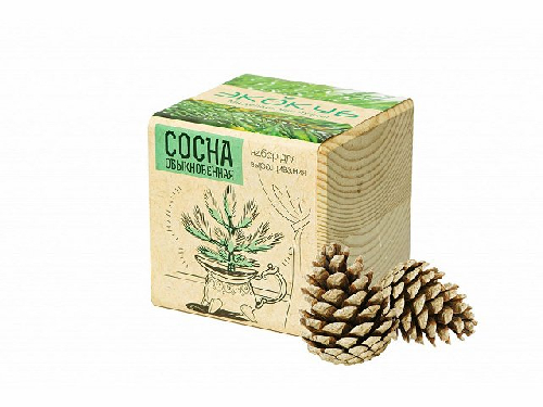 Набор для выращивания Базилик