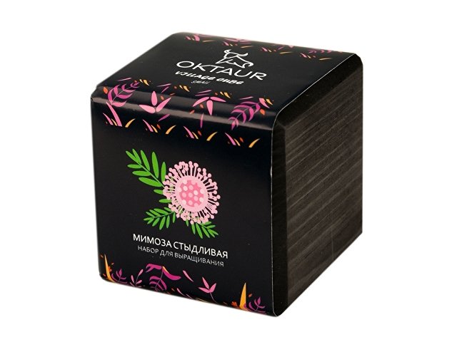 Набор для выращивания Small village cube Мелиса Мохито