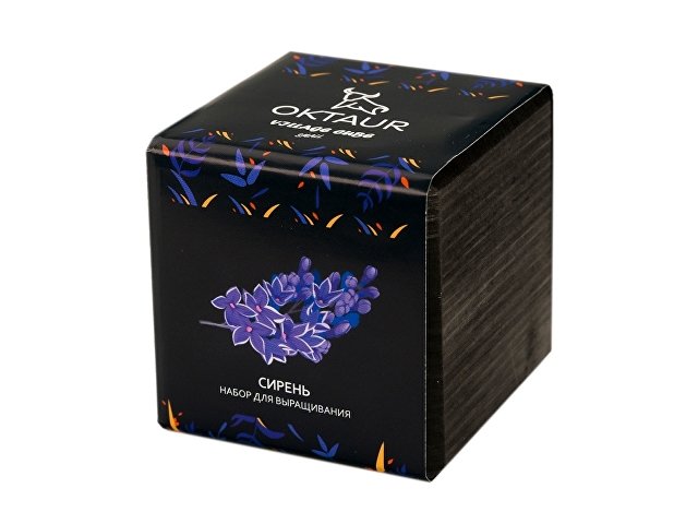 Набор для выращивания Small village cube Мелиса Мохито