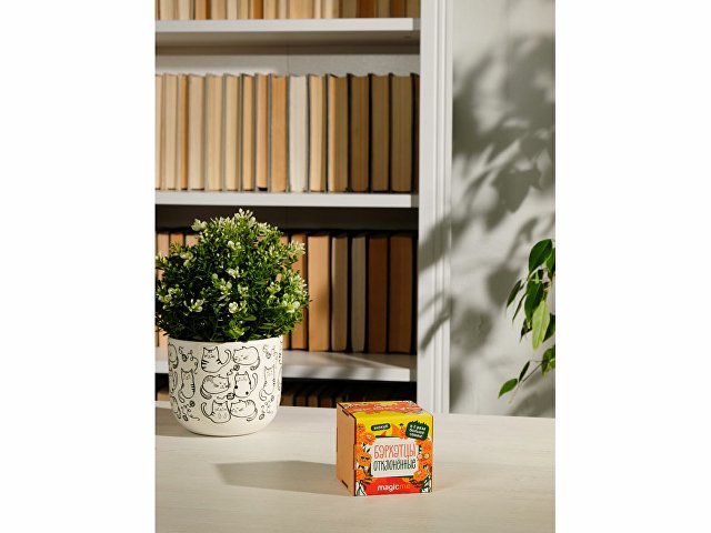 Набор для выращивания Мята