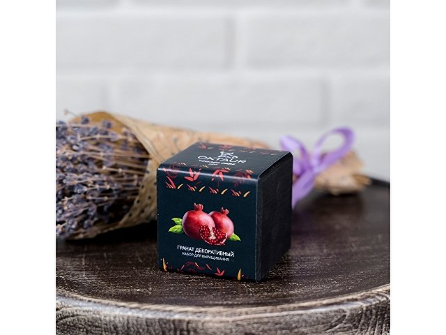 Набор для выращивания Small village cube Мелиса Мохито