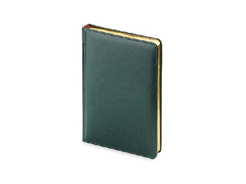 Ежедневник датированный А5 Sidney Nebraska на 2025 год