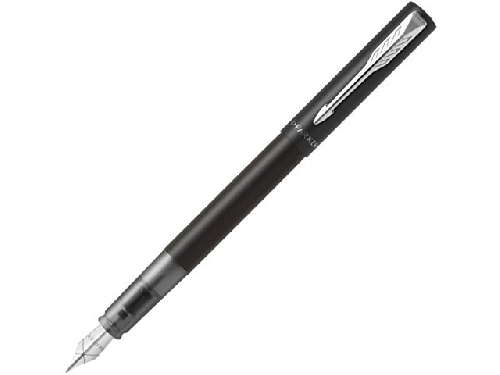 Перьевая ручка Parker Vector, F/M