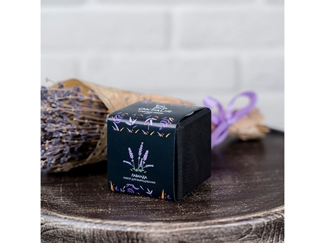 Набор для выращивания Small village cube Мелиса Мохито