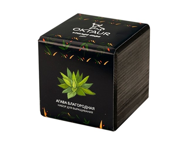 Набор для выращивания Small village cube Мелиса Мохито