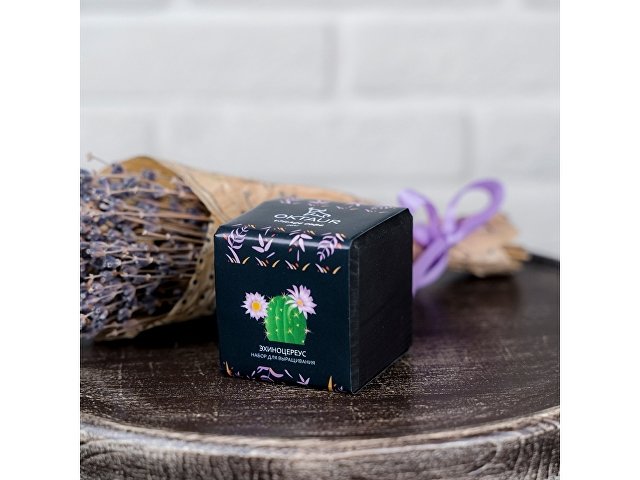 Набор для выращивания Small village cube Мелиса Мохито