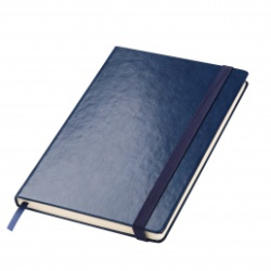 Ежедневник Reina BtoBook недатированный, синий (без упаковки