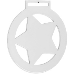 Медаль Steel Star