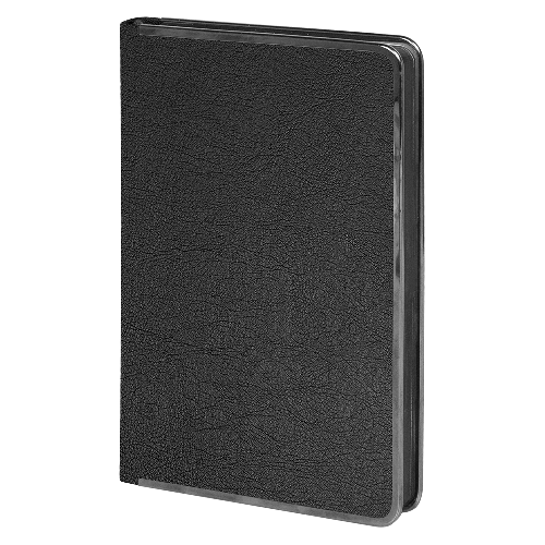 Ежедневник Alfa Techno Soft  553351.0319 new