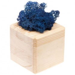 Декоративная композиция GreenBox Wooden Cube