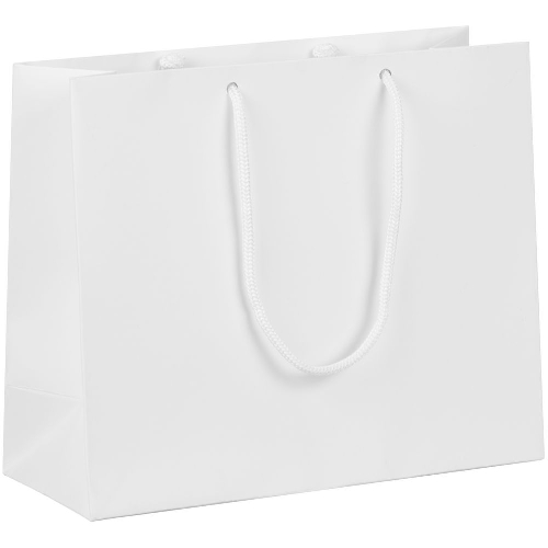 Пакет бумажный Lami Tote S