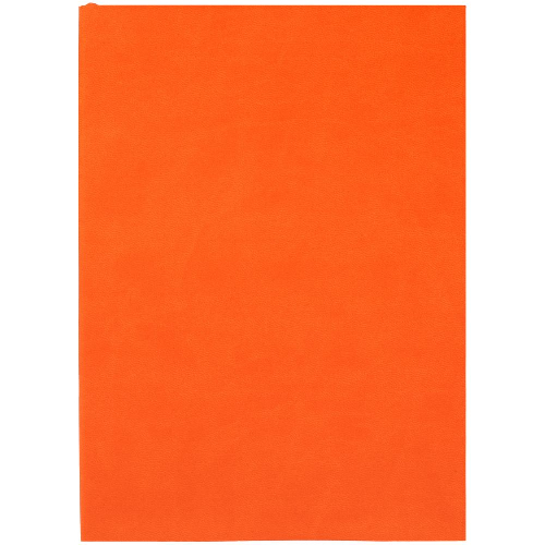 Ежедневник Flat Light