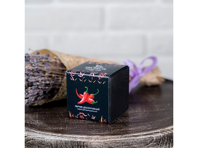 Набор для выращивания Small village cube Мелиса Мохито