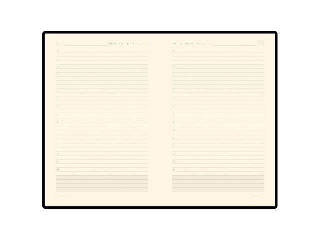 Ежедневник недатированный А5 Zenith