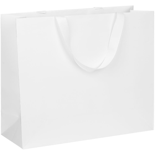 Пакет бумажный Manilla L