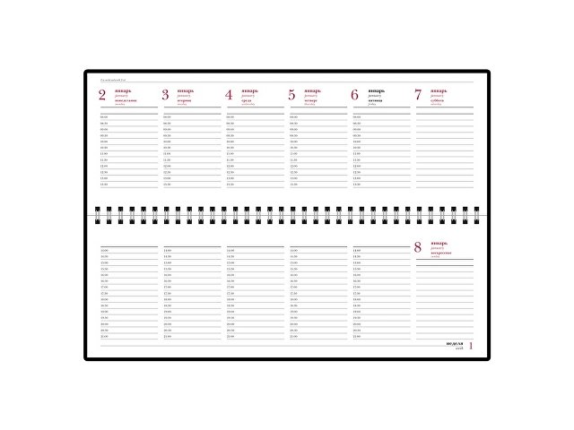 Планинг датированный Бумвинил на 2025 год